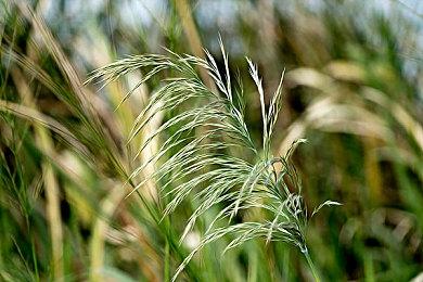 《雾锁王国》大型更新泥沼旋律上线 新区域玩法登场